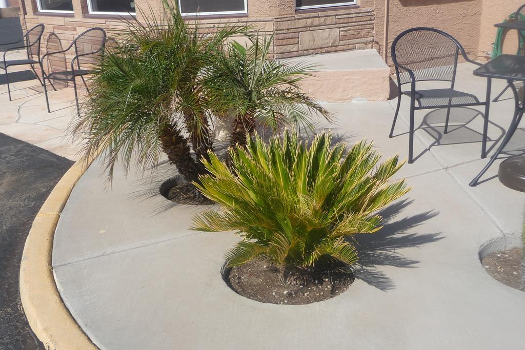 Palms Inn Gila Bend Luaran gambar
